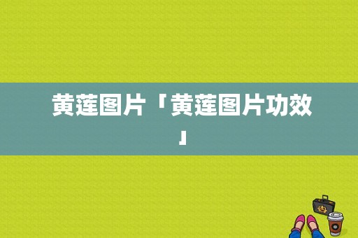  黄莲图片「黄莲图片功效」 第1张