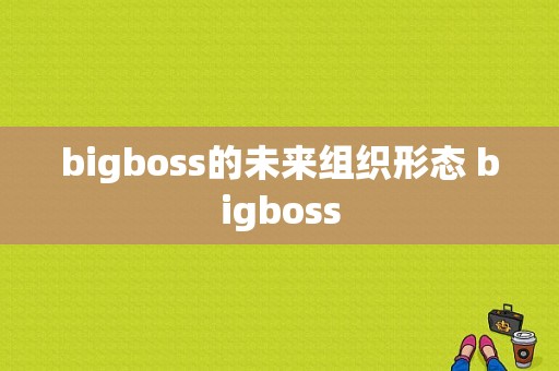 bigboss的未来组织形态 bigboss  第1张